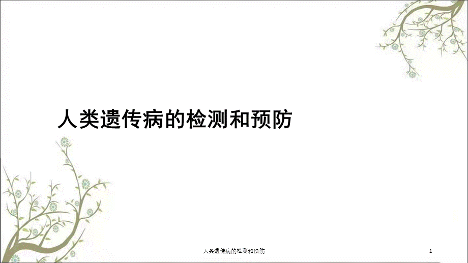 人类遗传病的检测和预防课件.ppt_第1页