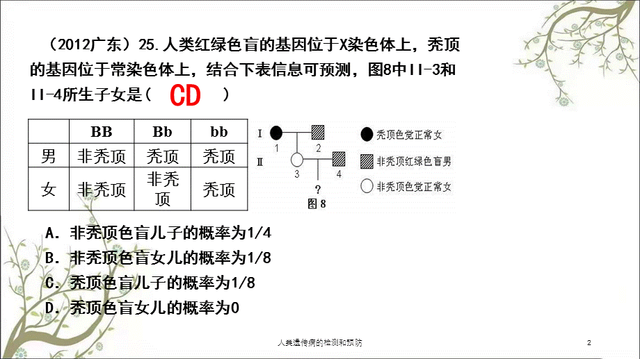 人类遗传病的检测和预防课件.ppt_第2页