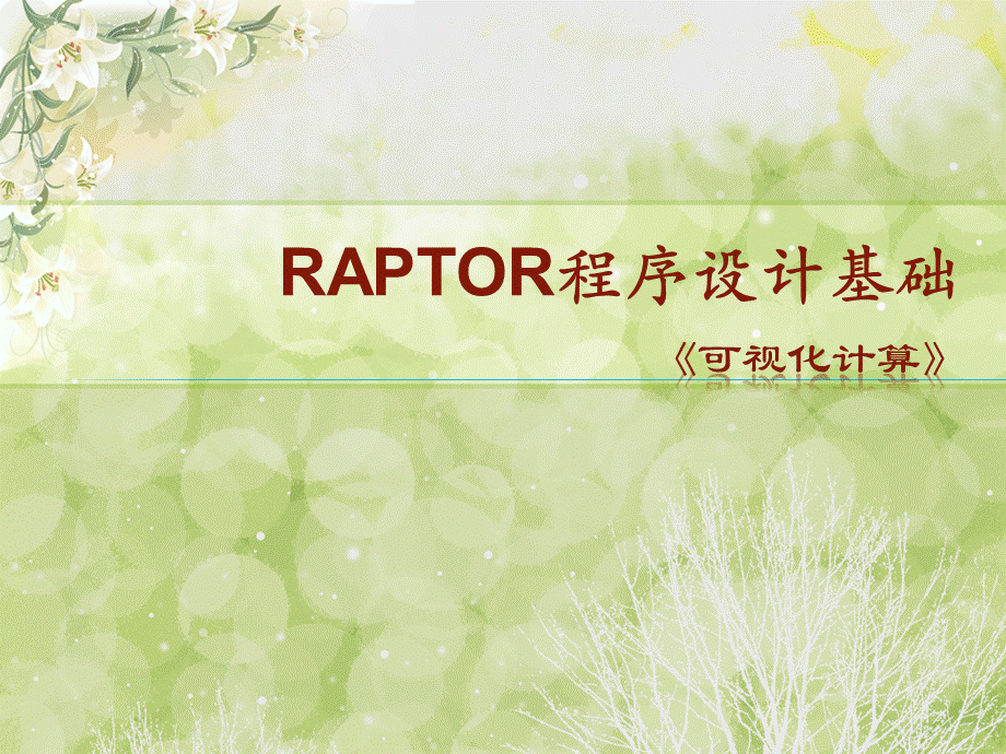 raptor软件使用.ppt_第1页