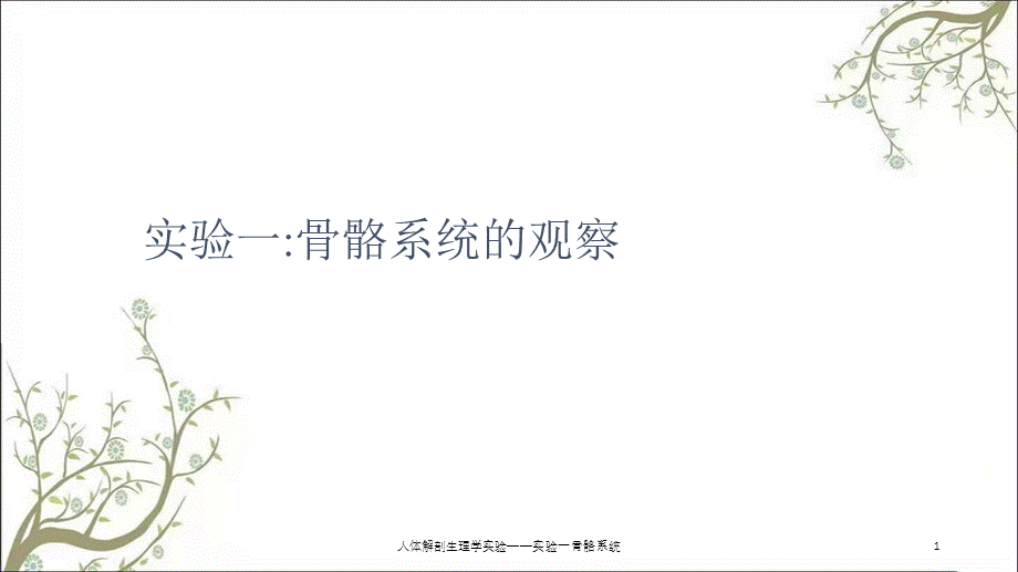 人体解剖生理学实验——实验一骨骼系统课件.ppt_第1页