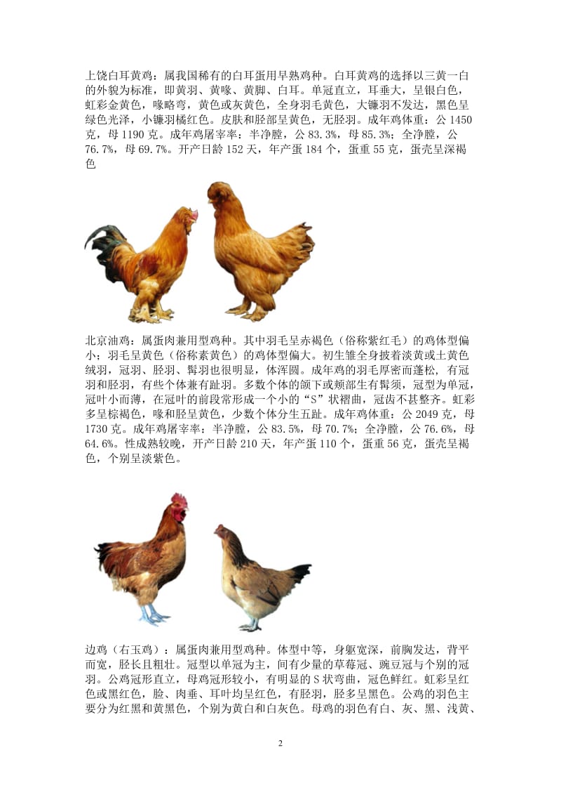 中国各地优良鸡品种.doc_第2页