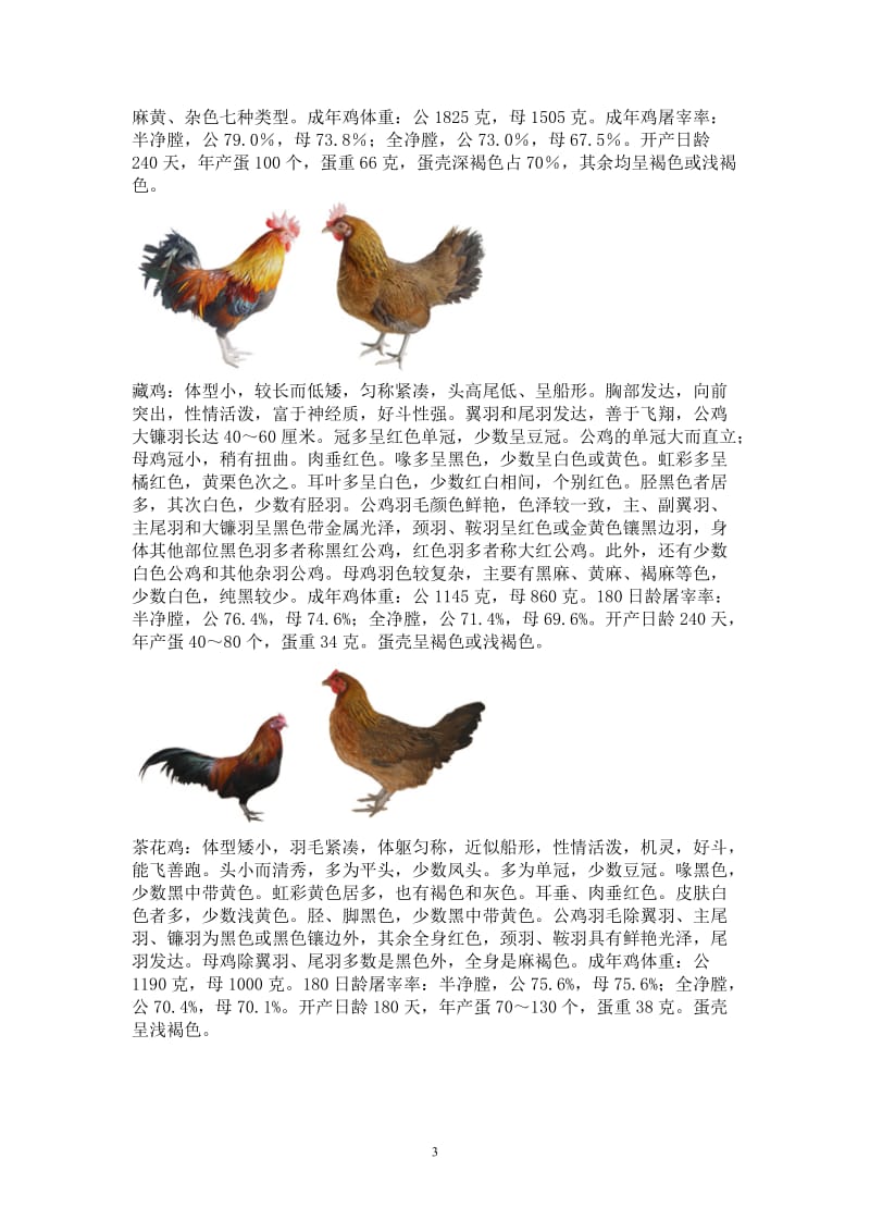 中国各地优良鸡品种.doc_第3页