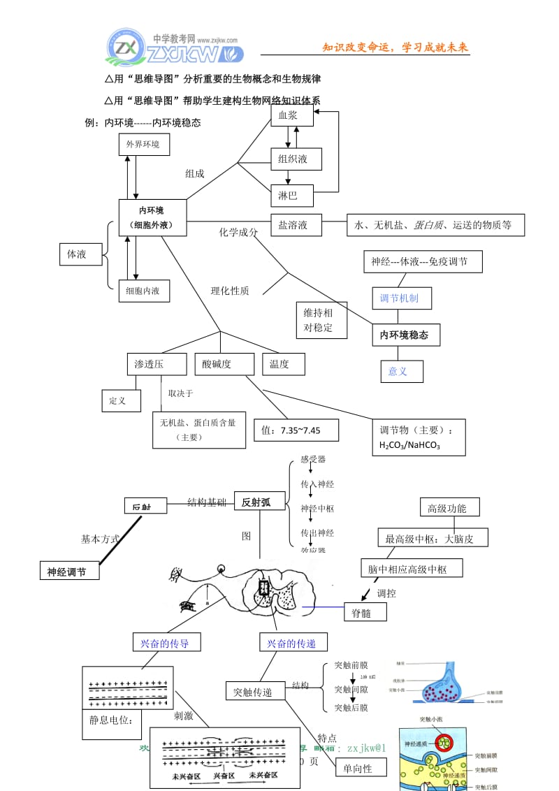 思维导图在必修3高考复习中的应用05[共10页].doc_第3页