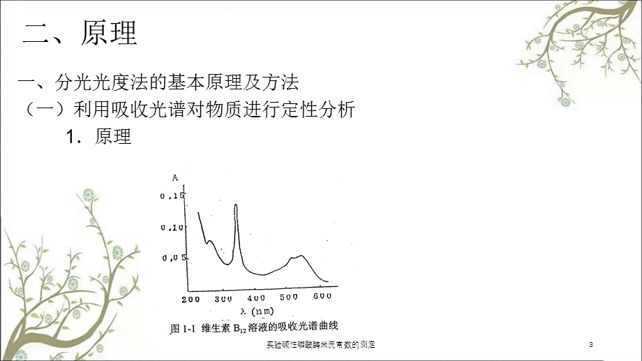 实验碱性磷酸酶米氏常数的测定课件.ppt_第3页