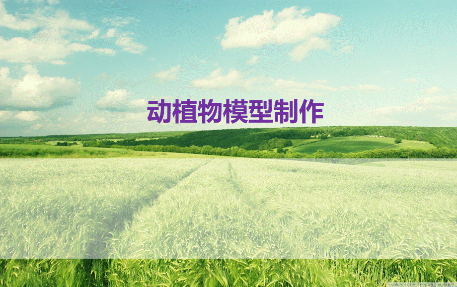 动植物细胞模型制作.ppt_第1页