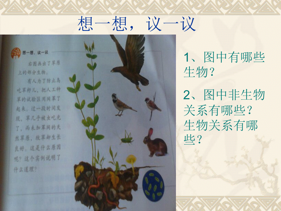 新人教版第二节生物与环境组成生态系统.ppt_第3页