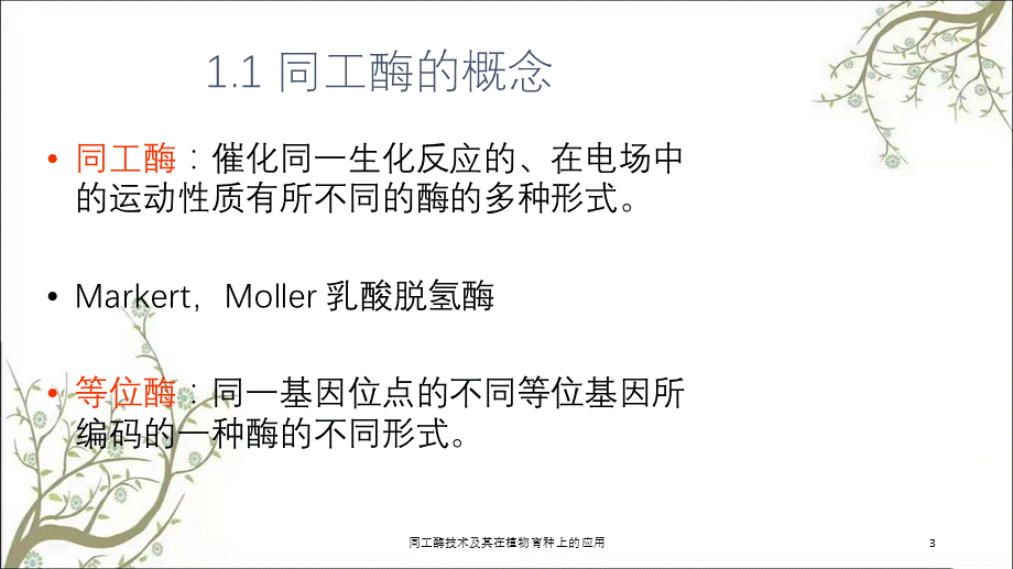 同工酶技术及其在植物育种上的应用课件.ppt_第3页