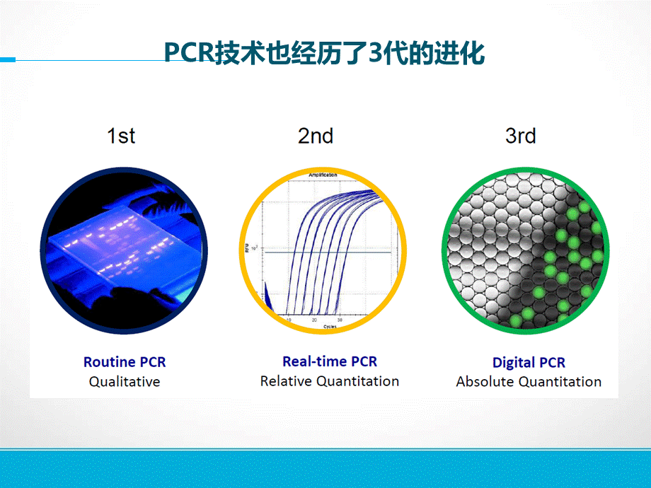 基因检测技术在肺癌精准治疗中的应用 靶向捕获测序与ddPCR比较.ppt_第3页