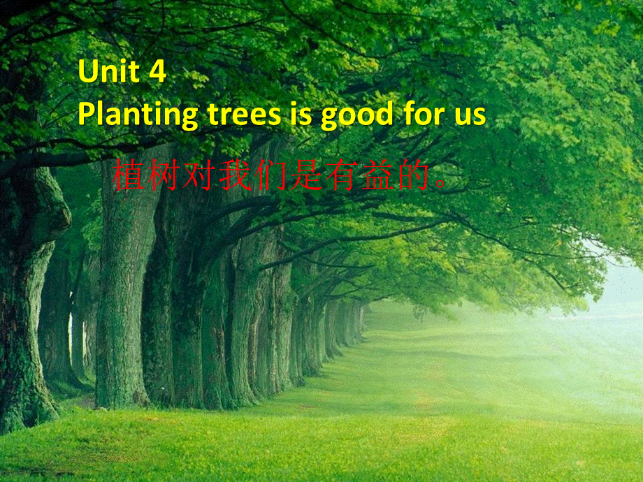 六年级下册英语课件-Unit 4Planting trees is good for us6_湘少版.pptx_第1页