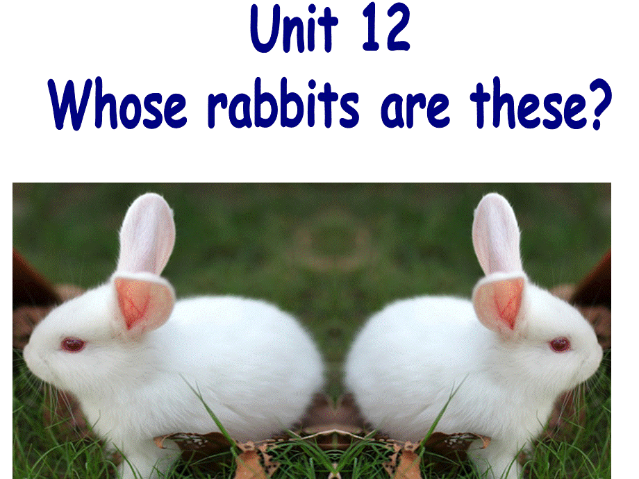广州版三年级下册U12whose rabbits are these.ppt_第1页