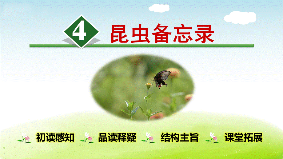 4昆虫备忘录.ppt_第1页