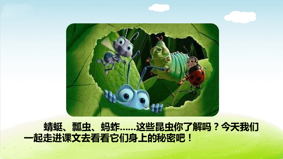 4昆虫备忘录.ppt_第3页