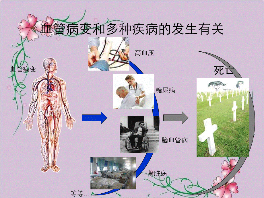 硝苯地平血管保护作用董吁钢.ppt_第2页