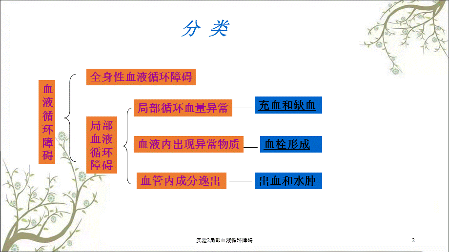 实验2局部血液循环障碍课件.ppt_第2页