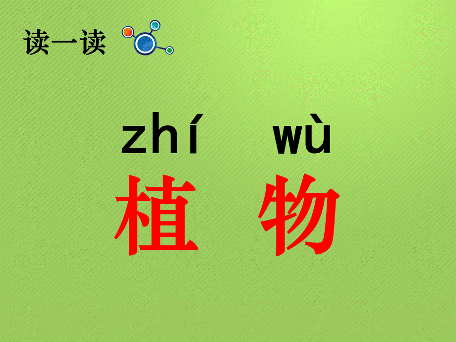 一年级上册科学课件-1.1我们知道的植物 （9）l教科版 (共19张PPT).ppt_第2页