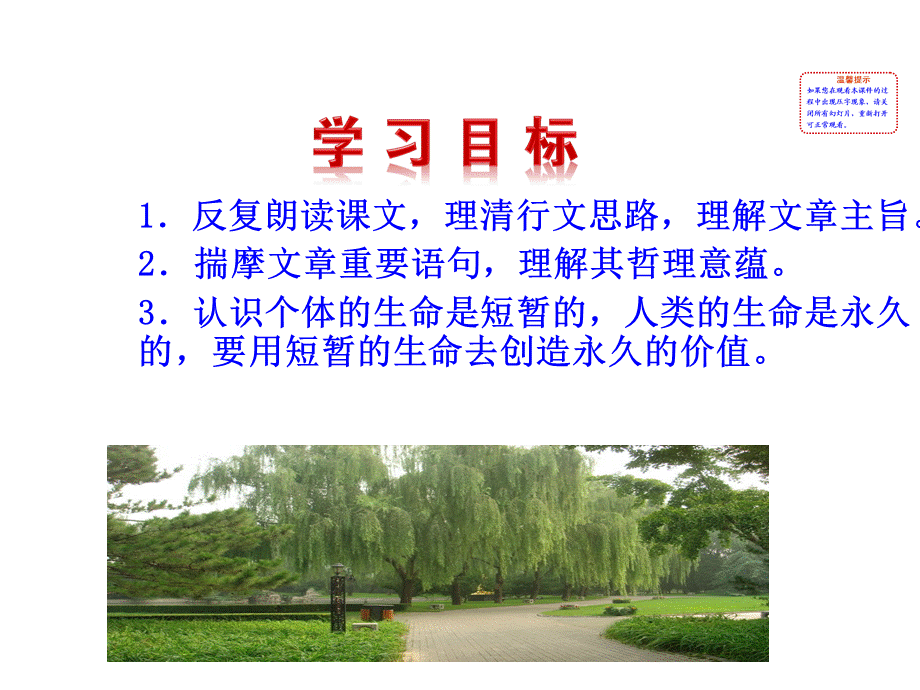 永久的生命 (4).ppt_第3页