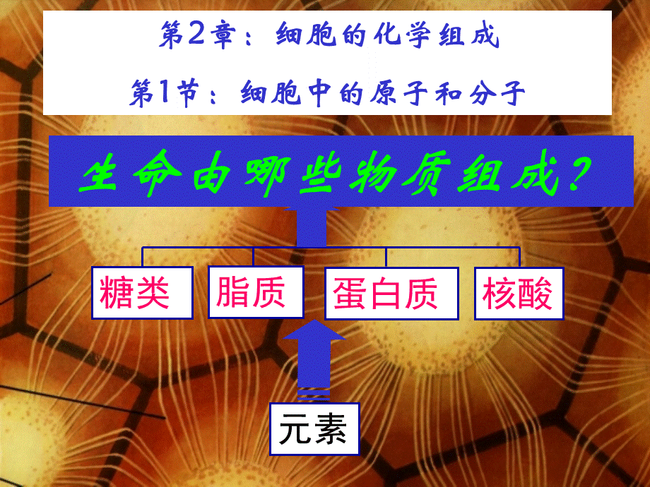 苏教版高一生物必修一2.1第1节：细胞中的原子和分子(共28张PPT).pptx_第1页