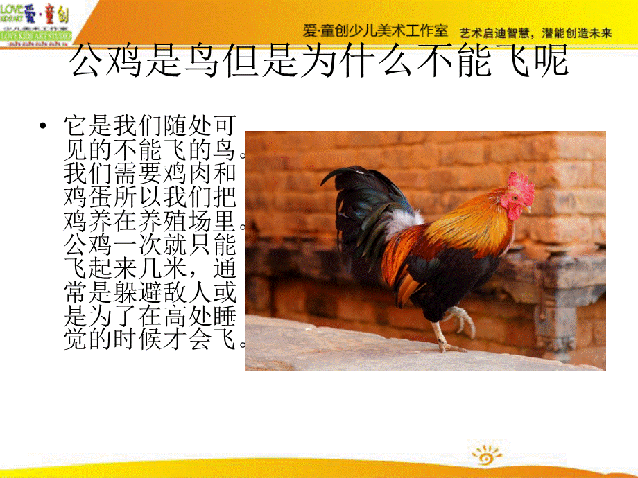 公鸡的介绍.ppt_第3页