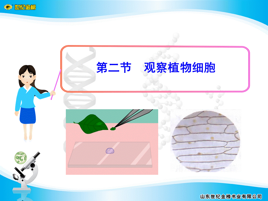 植物细胞ppt.ppt_第1页