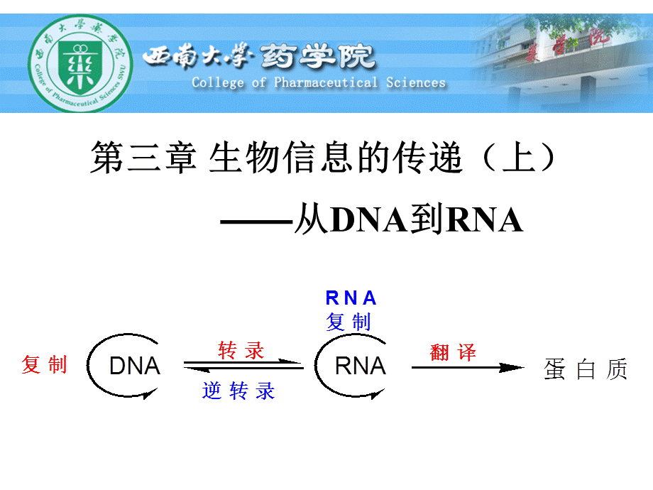 现代分子生物学-课件(3)生物信息的传递(上).ppt_第1页