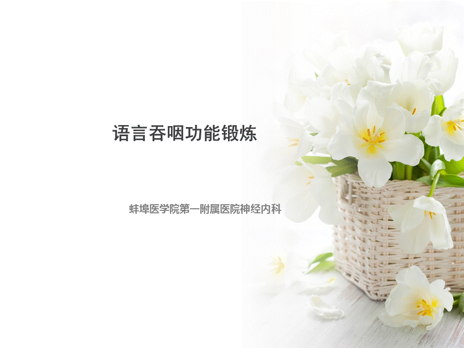 语言功能锻练.ppt_第1页