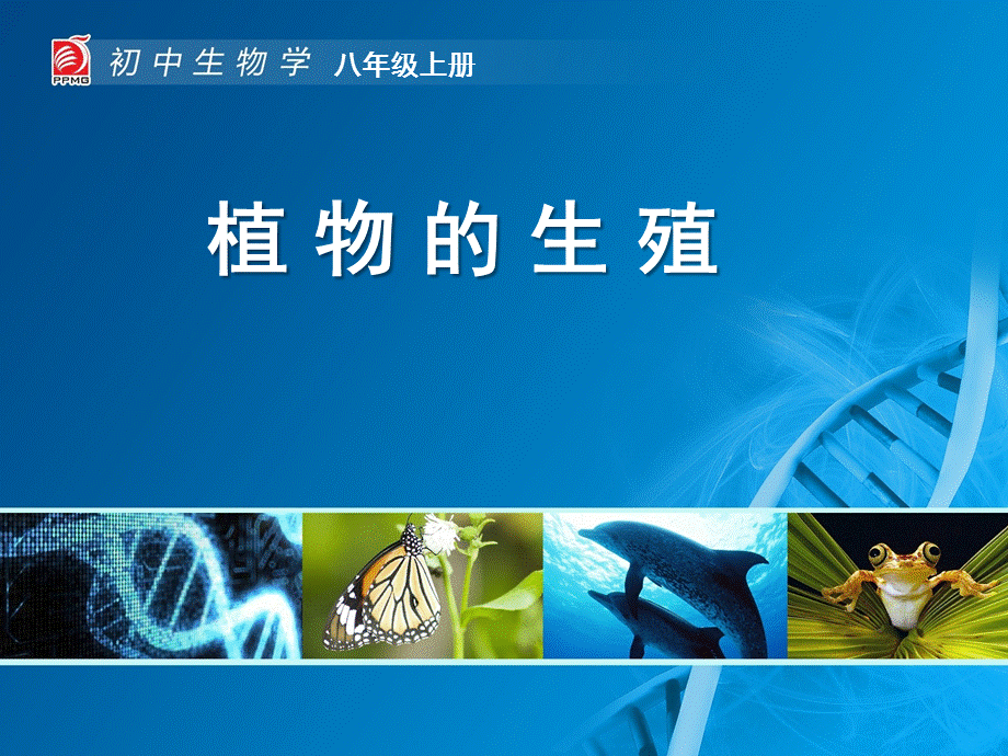 植物的生殖-教学课件.ppt_第1页