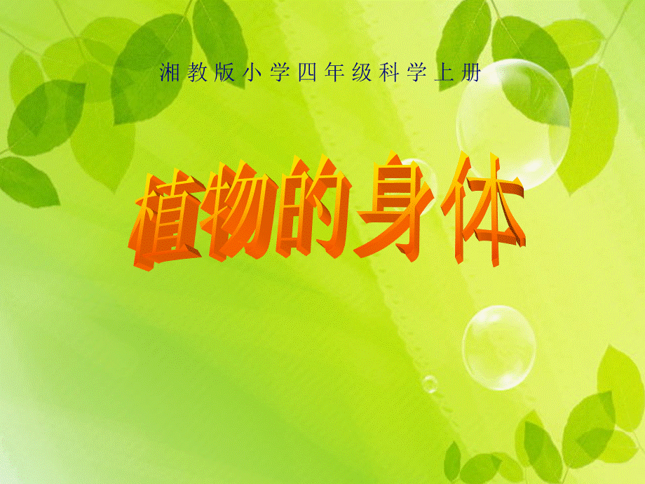 湘教版小学四年级上册科学《-植物的身体》微课课件.ppt_第1页