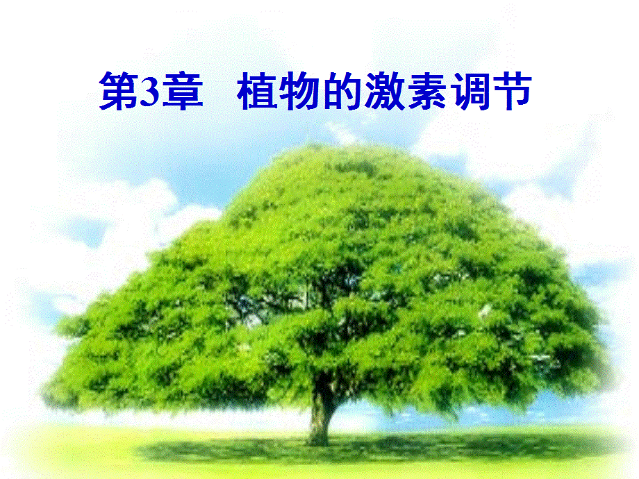 植物生长素的发现PPT课件2.ppt_第2页