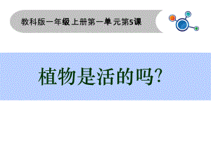 一年级上册科学课件-1.5植物是活的吗 （7） l教科版 (共13张PPT).ppt