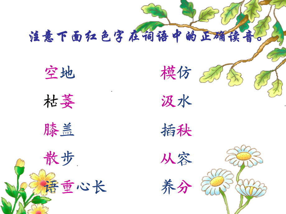 语文人教版六年级下册《3桃花心木》》 (2).ppt_第3页