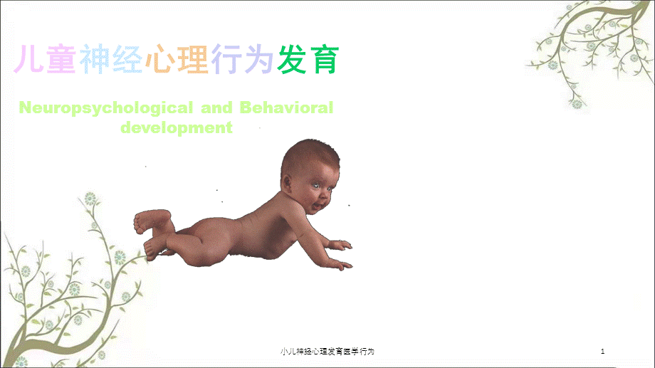 小儿神经心理发育医学行为课件.ppt_第1页