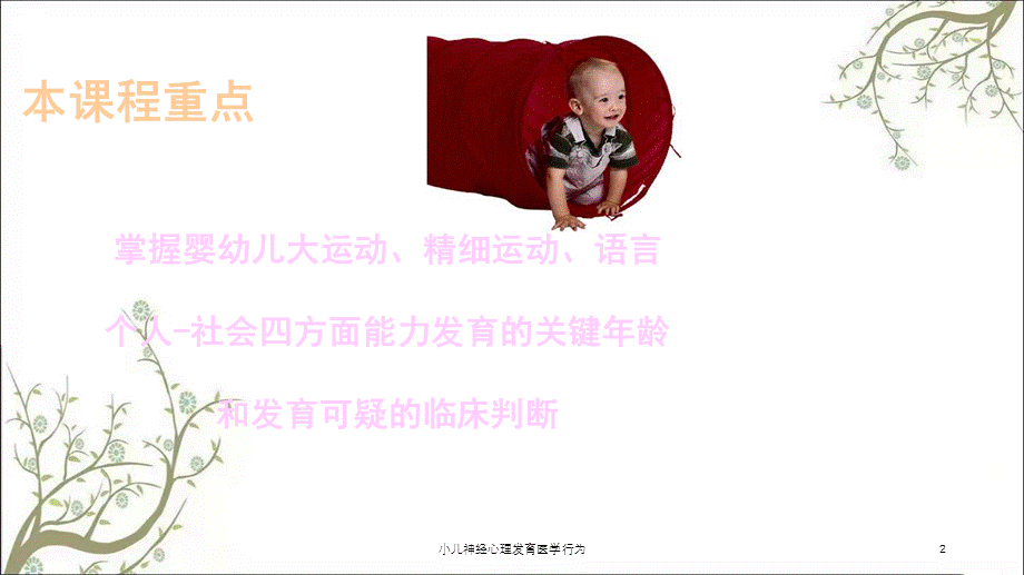 小儿神经心理发育医学行为课件.ppt_第2页