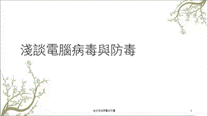 浅谈电脑病毒与防毒课件.ppt