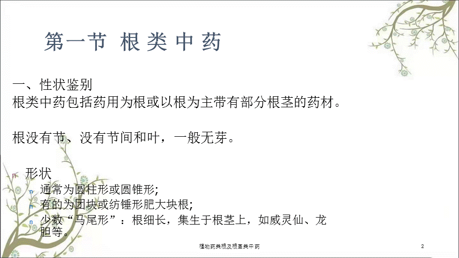 植物药类根及根茎类中药课件.ppt_第2页