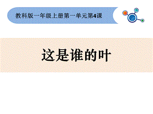 一年级上册科学课件-1.4这是谁的叶（7） l教科版 (共13张PPT).ppt