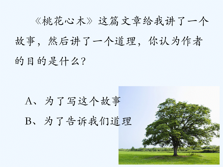 语文人教版六年级下册《桃花心木》.ppt.ppt_第2页