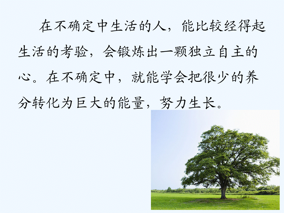 语文人教版六年级下册《桃花心木》.ppt.ppt_第3页