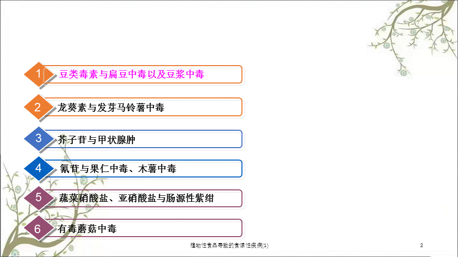 植物性食品导致的食源性疾病(1)课件.ppt_第2页