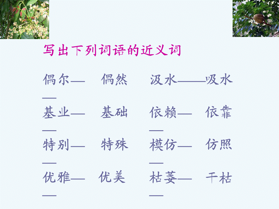 语文人教版六年级下册《桃花心木》PPT课件.ppt_第3页