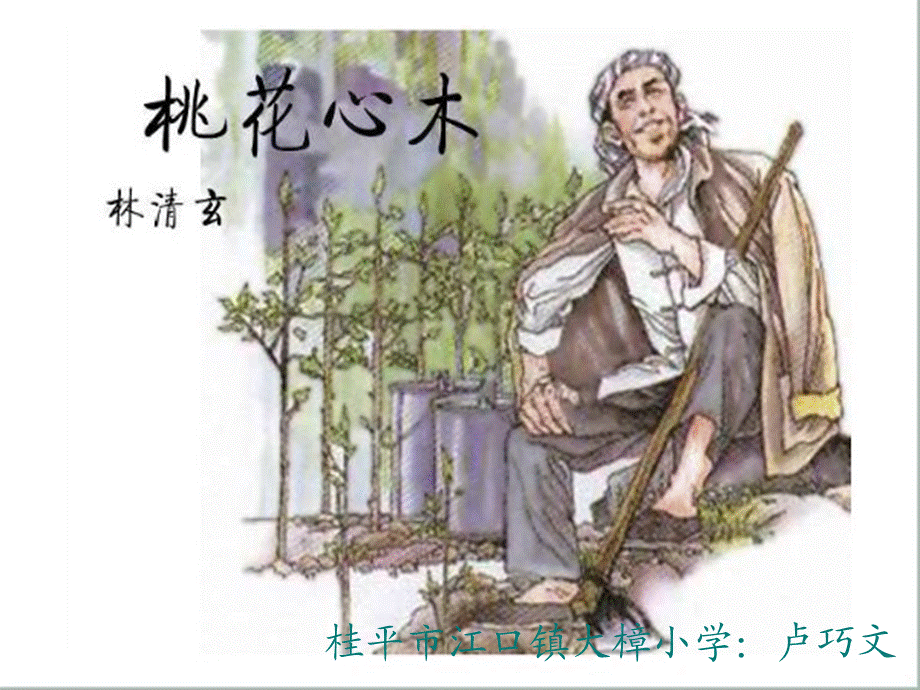 语文人教版六年级下册《桃花心木》.ppt_第1页