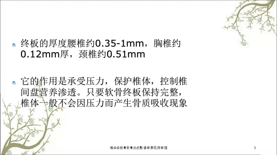 椎体终板骨软骨炎的影像学表现陈学强课件.ppt_第3页