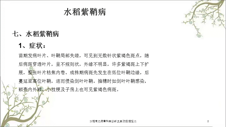 水稻常见病害种类诊断及其防控措施二课件.ppt_第2页