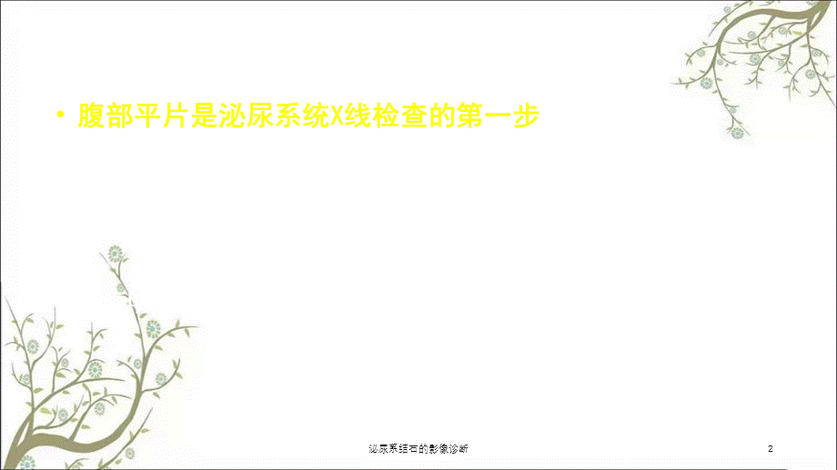 泌尿系结石的影像诊断课件.ppt_第2页