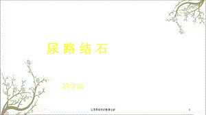 泌尿系结石的影像诊断课件.ppt