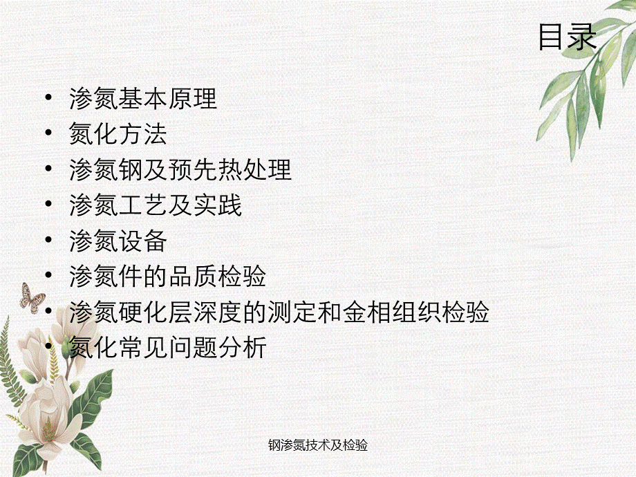 钢渗氮技术及检验.ppt_第2页