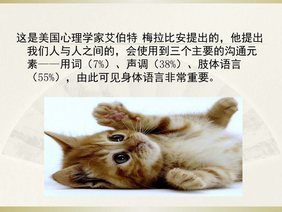 身体语言的重要性.ppt_第3页