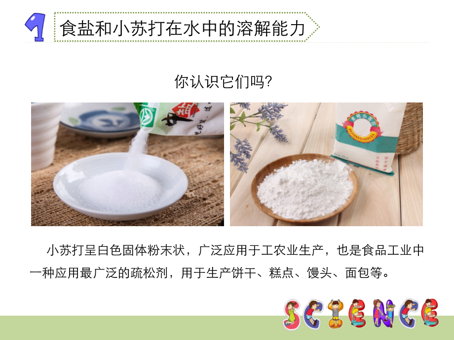 四年级上册科学《不同物质在水中的溶解能力》教科版.ppt_第3页