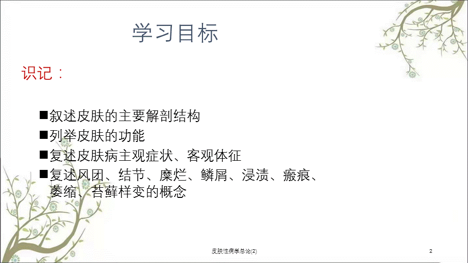 皮肤性病学总论(2)课件.ppt_第2页