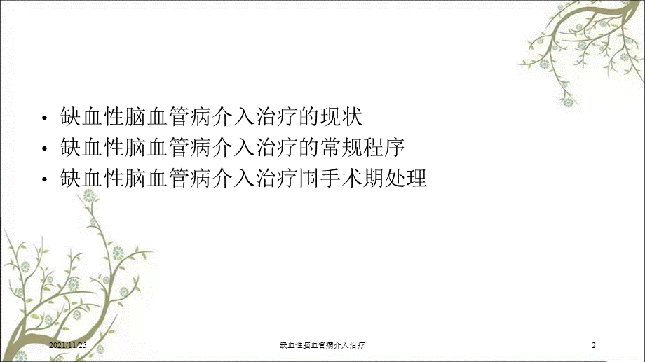 缺血性脑血管病介入治疗课件.ppt_第2页