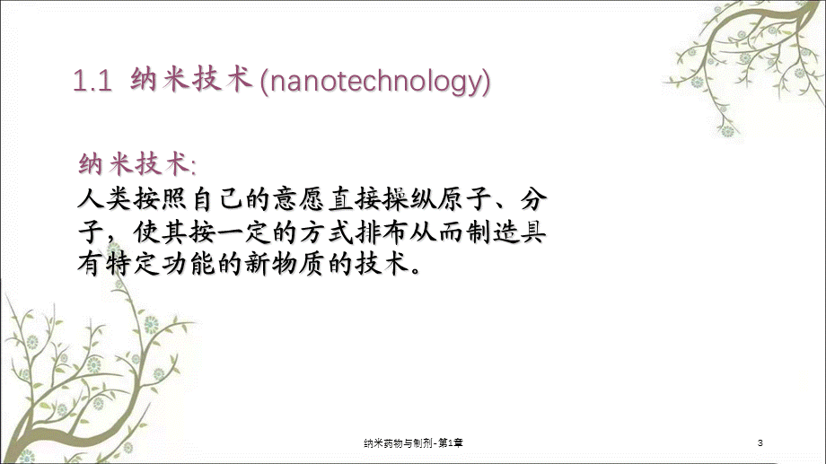 纳米药物与制剂-第1章课件.ppt_第3页